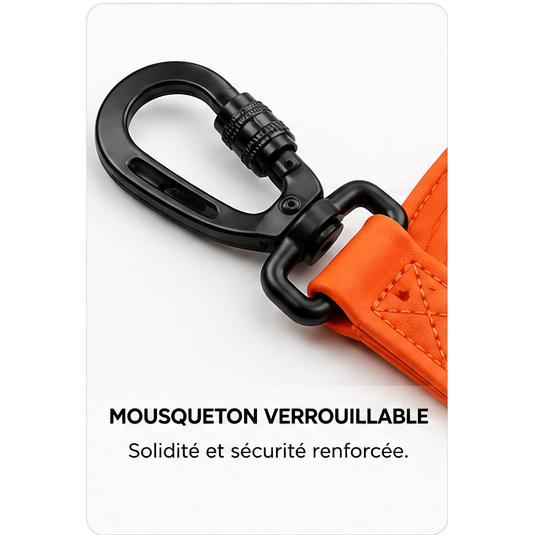 Laisse d’aventure imperméable