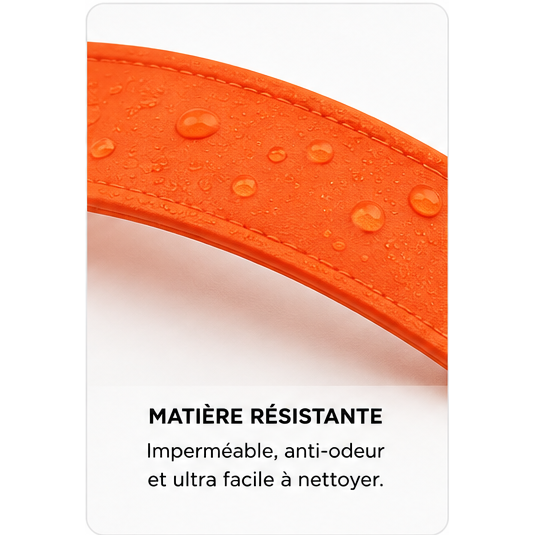 Laisse d’aventure imperméable