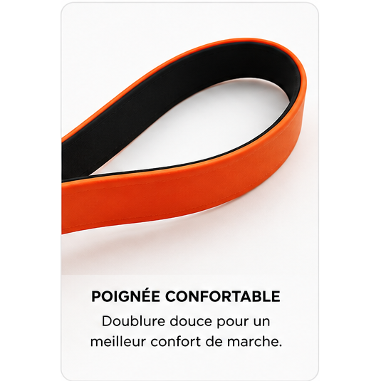 Laisse d’aventure imperméable