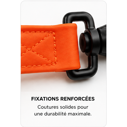 Laisse d’aventure imperméable